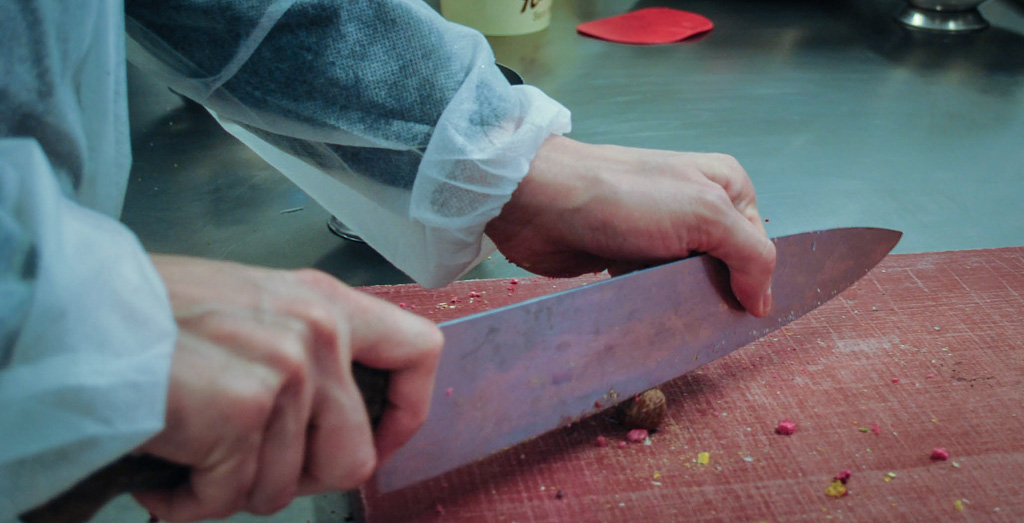 Markenstern Honold 19