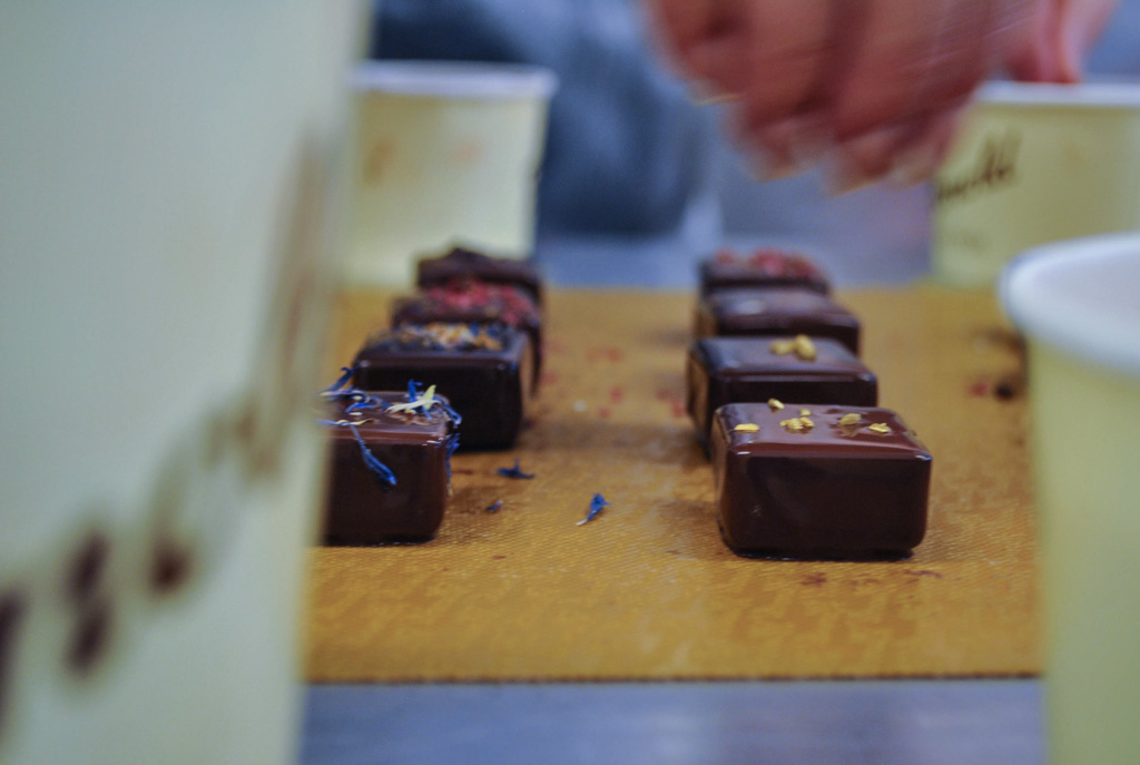 Markenstern Honold 7